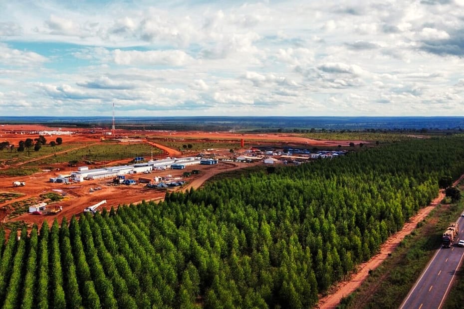 impacto fábrica Arauco